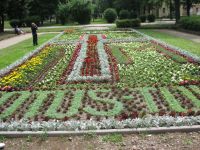 Obraz1 119